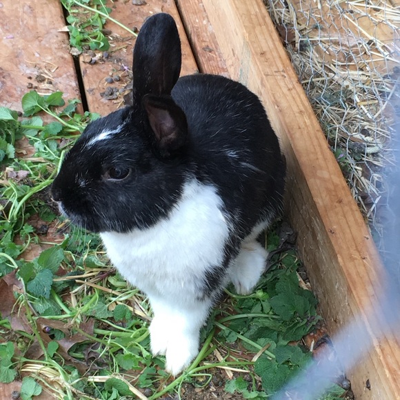 Hop on in for Added Discounts! - Picture 1 of 16